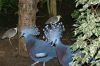 2009_07_20_gettorf_tierpark_04.jpg