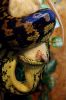 2012_02_21_tracy_01.jpg