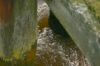 havarie_alana_gruenentaler_hochbruecke_101008_40.jpg